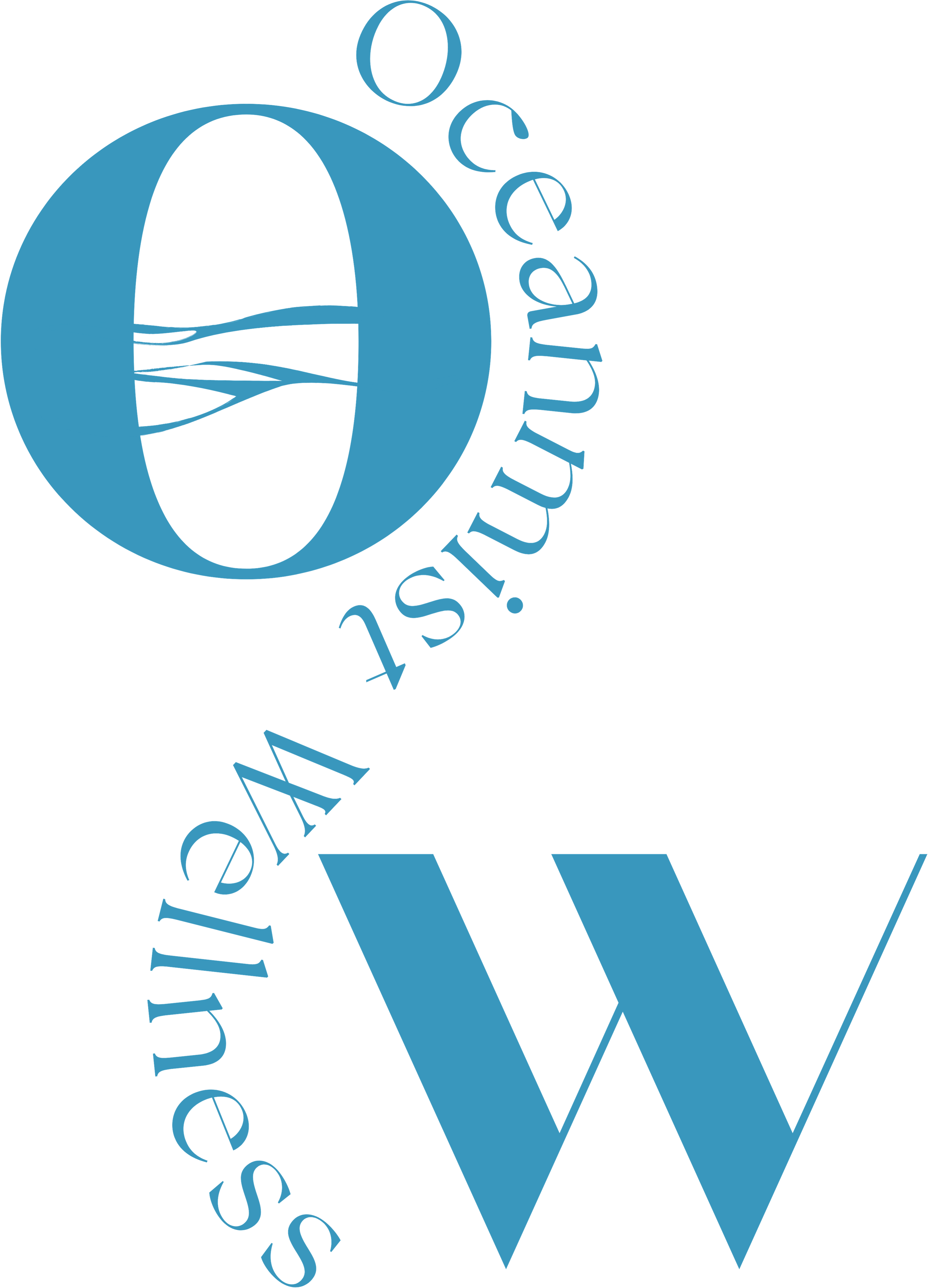 Oceanmist Wellness